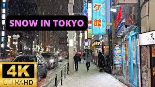 TOKYO, JAPAN 🇯🇵 [4K] ROPPONGI — Heavy Snow Storm in TOKYO — Night Walk