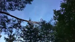 Песня "Благодарю!"