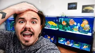 My Fish Tanks are in BIG TROUBLE?!