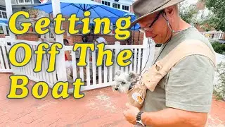 Finding Essentials in a New Port | Manteo NC | ep 282