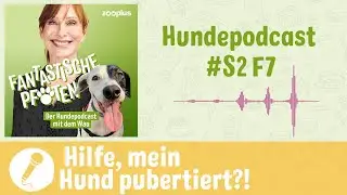 Gelassen durch die Hundepubertät | zooplus Hundepodcast # S2 F7