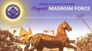 2024 Breeders' Cup Juvenile Turf Sprint - Magnum Force