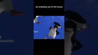 house out
