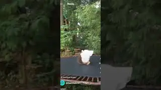 Новый телефон Самсунг