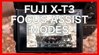 FUJI XT3 MANUAL FOCUS ASSIST DISCUSSED