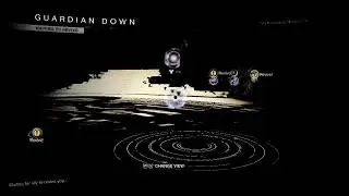 Destiny 2 Last Wish Raid (The Vault)