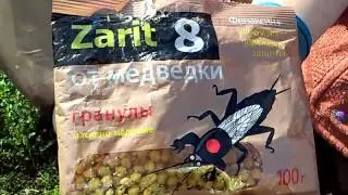медведка
