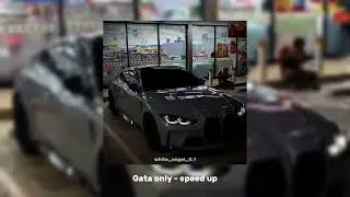 Gata only - speed up
