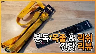 분독 목줄 & 리쉬 간단 리뷰