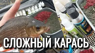 Вдумчивая рыбалка! Или как поймать капризного карася!