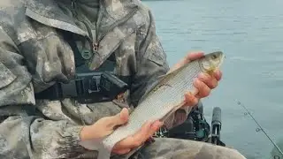 РЫБАЛКА НА АНГАРЕ.  ЧАСТЬ 1