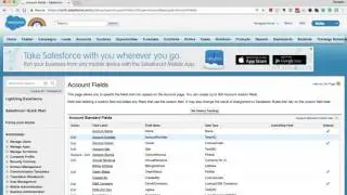 Adding Custom Field to Salesforce Standard Object
