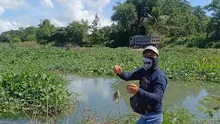 BAGO BAGYONG KRISTINE NAKADALI PA KAMI