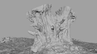 Photoscan of Tree Trunk