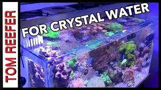 Reef Tank (WATER CHANGE ROUTINE FOR CRYSTAL CLEAR WATER)