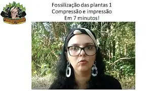 Paleobotânica - Processo de fossilização das plantas do tipo compressão e impressão.