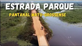 EP-06 VEJA COMO ESTÁ O PANTANAL COM A FALTA DE CHUVA ☔️ 🌧 TRANSPANTANEIRA.