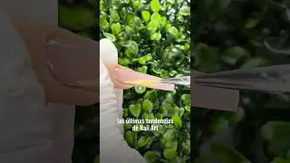 Aprende todas las técnicas de uñas en tendencia 
