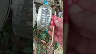 боевой арбалет Аллигатор