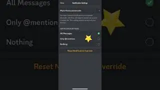 Discord Notification Settings