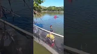Fishing fishy#fishing #amazingfishing #amazing #fish #adventure #fishpond #bangus #angler #viral