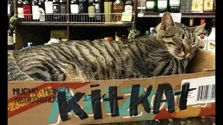 Ксочная нарезка