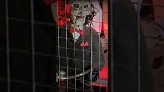 «Saw» in Thorpe Park