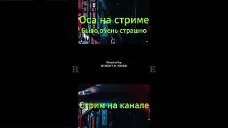 ОСА РЕШИЛА ПРИДТИ НА СТРИМ!БЫЛО СМЕШНО!#recommended #врек #shorts