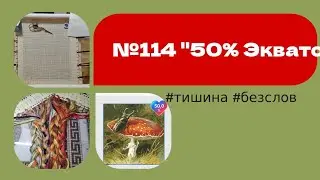 №114 "50% готово! #Экватор " #половина #шико #мухомор