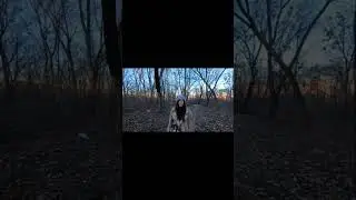 вывести на чистую воду 