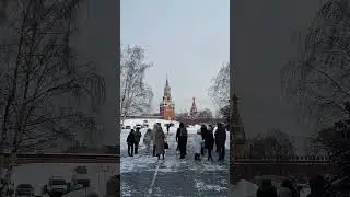 Куранты вид из Московского Кремля