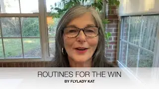 FLYLADY: Routines For The Win #flyladykat