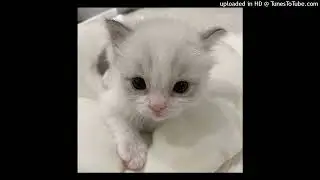 ЕГОР КРИД - Выпускной ♡ speed up ♡