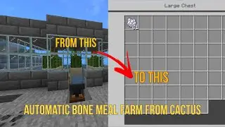 Automatic Bone Meal Farm From Cactus (Minecraft Bedrock 1.20+)