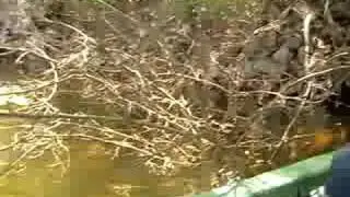 Pescando en el Novillo, Sonora (V)