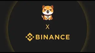 1MBABY DOGE BİNANCE'TA LİSTELENDİ! NE YAPMALI?