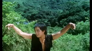 Bolo Yeung vs Bruce Leung Siu-Lung in Fists, Kicks and Evils (1979)