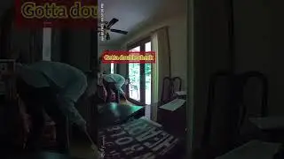 Exterminator Caught on Security Cam #comedyshorts #bugs