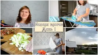 A little CLEANING IN THE HOUSE / A quick and EASY LUNCH / The stuffiness has given way to a THUND...