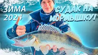 ЗИМНЯЯ РЫБАЛКА 2024! СЛОВИЛИ СУДАКА на МОРМЫШКУ! Ловля ПОДЛЕЩИКОВ на мормышку
