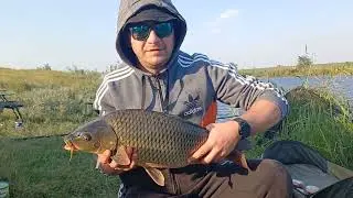 Capturi de crap la #pescuit pe Lacul Boteni 1 la montura tip #feeder spre sfarsit de program de zi