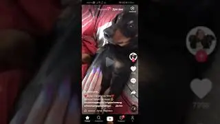 Тик Ток