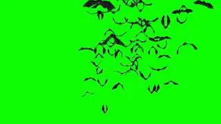 🦇 Bats Green Screen | Bats Flying Green Screen | Green BackGround Screen