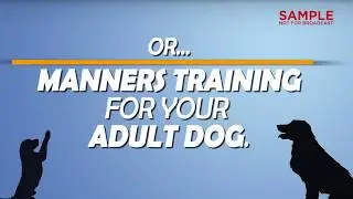 Pet Care Obedience Training Digital Signage