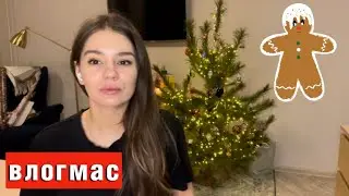 В канун рождества Розамунда Пилчер #влогмас