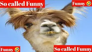 Funny video 😂 || Funny video just for fun 😂