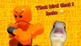 THAT F#@KING BIRD THAT I HATE (19 FPS)