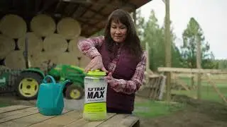 How to use Fly Trap MAX