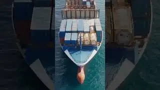 Small but Powerful: The Vital Role of Tugboats in Ports #ship #powerful
