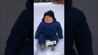 Ha ha ha Cat videos 😂😂😂